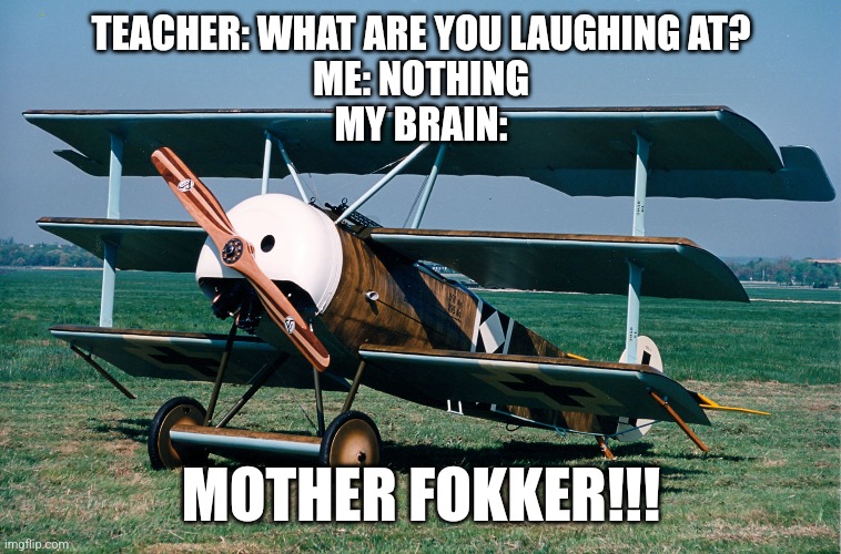 Fokker | TEACHER: WHAT ARE YOU LAUGHING AT?
ME: NOTHING
MY BRAIN:; MOTHER FOKKER!!! | image tagged in world war 1 | made w/ Imgflip meme maker