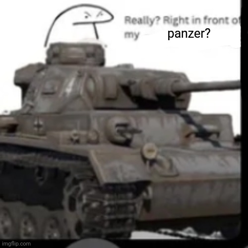 panzer? | image tagged in really | made w/ Imgflip meme maker