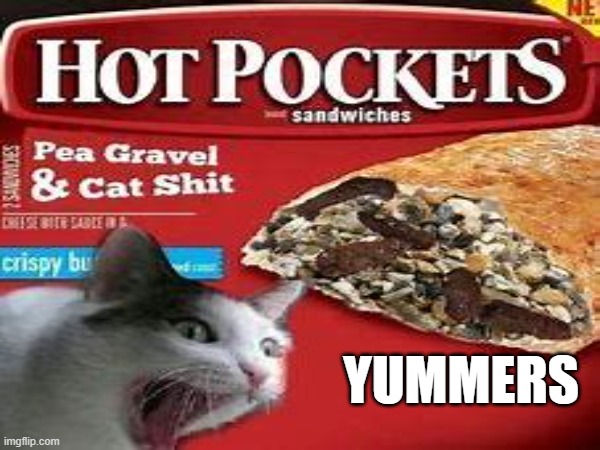 Why is it "crispy" tho??Plz like if u want more cursed food | YUMMERS | image tagged in cat,hot pockets,funny | made w/ Imgflip meme maker