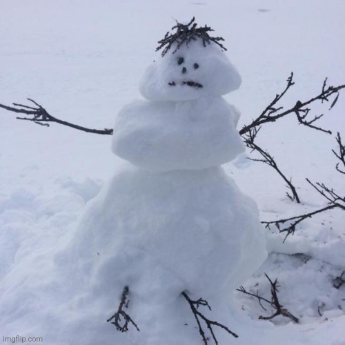 Snowman | image tagged in snowman | made w/ Imgflip meme maker