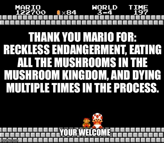 Thank you Mario (not really) | THANK YOU MARIO FOR: RECKLESS ENDANGERMENT, EATING ALL THE MUSHROOMS IN THE MUSHROOM KINGDOM, AND DYING MULTIPLE TIMES IN THE PROCESS. YOUR WELCOME | image tagged in thank you mario | made w/ Imgflip meme maker