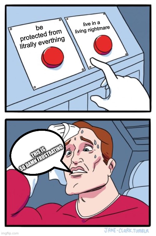 Two Buttons | be protected from litrally everthing; live in a living nightmare; THIS IS SO DAMN FRUSTRATING | image tagged in memes,two buttons | made w/ Imgflip meme maker