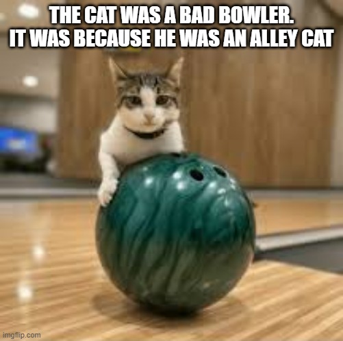 memes by Brad - This cat is a bad bowler. She's an alley cat. - humor - | THE CAT WAS A BAD BOWLER. IT WAS BECAUSE HE WAS AN ALLEY CAT | image tagged in sports,cats,bowling,kittens,humor,play on words | made w/ Imgflip meme maker