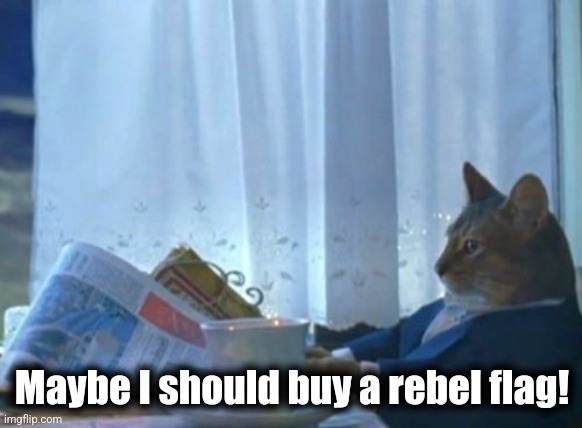 I Should Buy A Boat Cat Meme | Maybe I should buy a rebel flag! | image tagged in memes,i should buy a boat cat | made w/ Imgflip meme maker