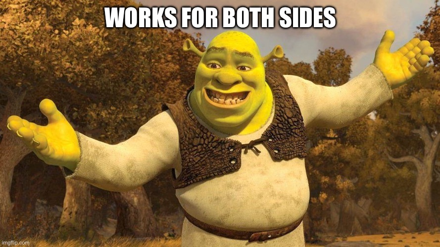 Shrek | WORKS FOR BOTH SIDES | image tagged in shrek | made w/ Imgflip meme maker