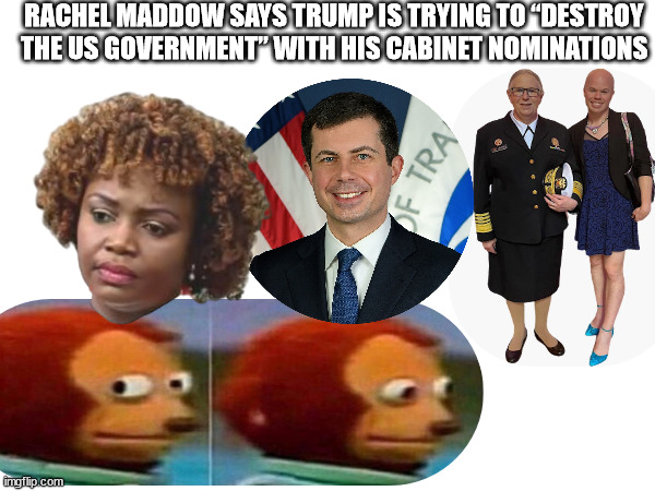 Liberal Gaslighting | RACHEL MADDOW SAYS TRUMP IS TRYING TO “DESTROY THE US GOVERNMENT” WITH HIS CABINET NOMINATIONS | image tagged in donald trump,trump,president trump,stupid liberals | made w/ Imgflip meme maker