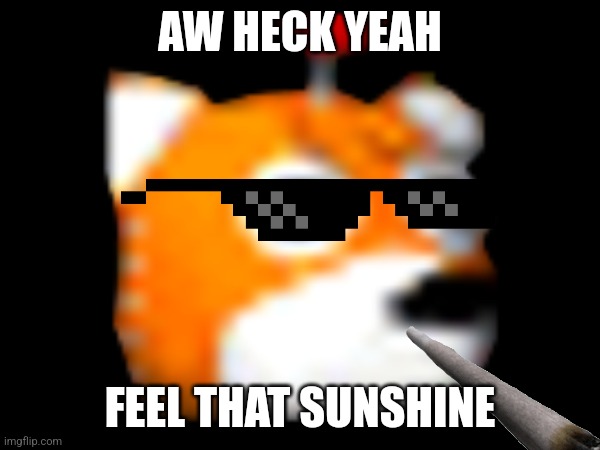 Tails Doll Moment | AW HECK YEAH; FEEL THAT SUNSHINE | image tagged in tails | made w/ Imgflip meme maker