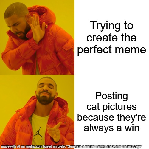 Cat! | Trying to create the perfect meme; Posting cat pictures because they're always a win | image tagged in memes,drake hotline bling | made w/ Imgflip meme maker