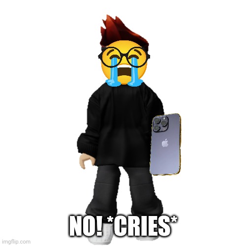 MC when he saw the Jeff post with him on it. | NO! *CRIES* | image tagged in mc,jeffrey,memes,sad | made w/ Imgflip meme maker