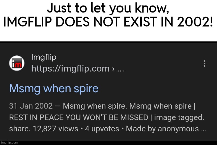 Just a weird Google glitch (this should be reported to the Google team.) | Just to let you know, IMGFLIP DOES NOT EXIST IN 2002! | made w/ Imgflip meme maker