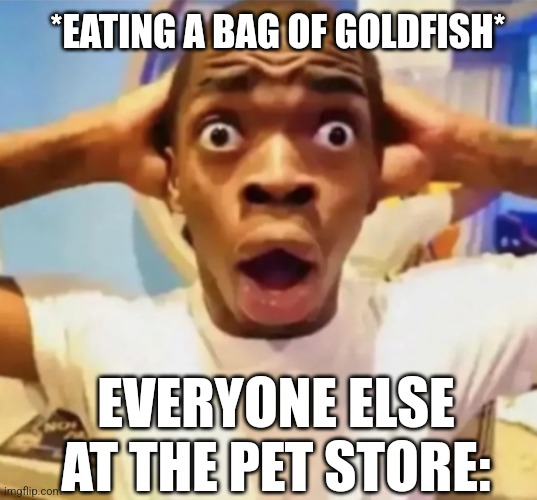 goldfish | *EATING A BAG OF GOLDFISH*; EVERYONE ELSE AT THE PET STORE: | image tagged in goldfish | made w/ Imgflip meme maker