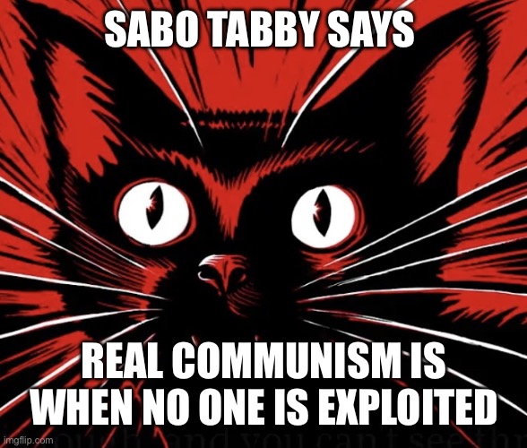 Sabo tabby cat | SABO TABBY SAYS REAL COMMUNISM IS WHEN NO ONE IS EXPLOITED | image tagged in sabo tabby cat | made w/ Imgflip meme maker