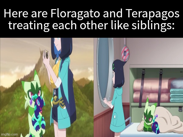 Sweet Pokemon love | Here are Floragato and Terapagos treating each other like siblings: | image tagged in memes,pokemon,anime,pop culture | made w/ Imgflip meme maker