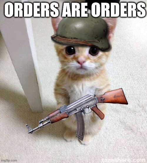 Cute Cat | ORDERS ARE ORDERS | image tagged in memes,cute cat,cat,soldier,war | made w/ Imgflip meme maker