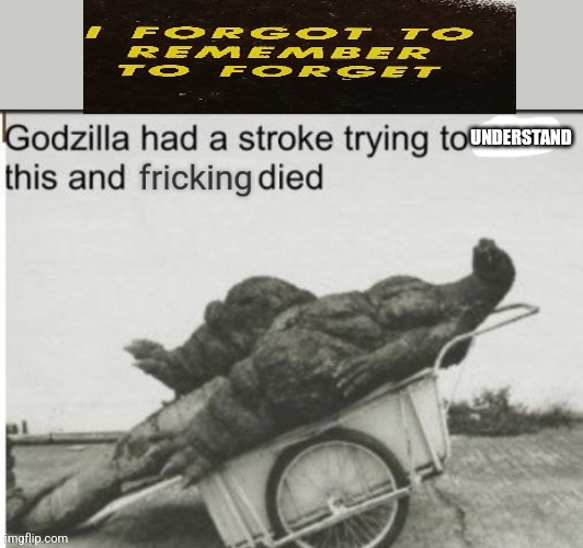 I found this at an antique store... | UNDERSTAND | image tagged in godzilla had a stroke trying to read this and fricking died,antique store | made w/ Imgflip meme maker