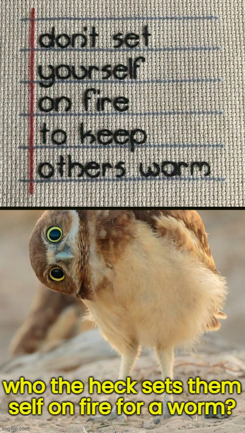 It's "warm" NOT "worm" you silly! | who the heck sets them self on fire for a worm? | image tagged in funny memes,owl,life advice | made w/ Imgflip meme maker