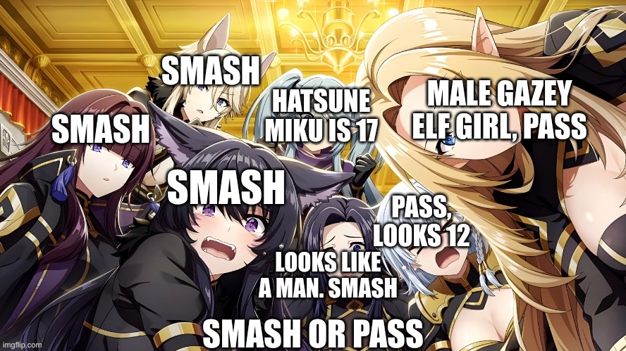 SMASH SMASH HATSUNE MIKU IS 17 SMASH PASS, LOOKS 12 LOOKS LIKE A MAN. SMASH MALE GAZEY ELF GIRL, PASS | made w/ Imgflip meme maker