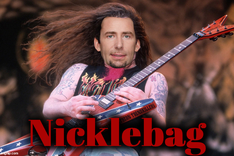 Nicklebag | Nicklebag | image tagged in dimebag,nickleback | made w/ Imgflip meme maker