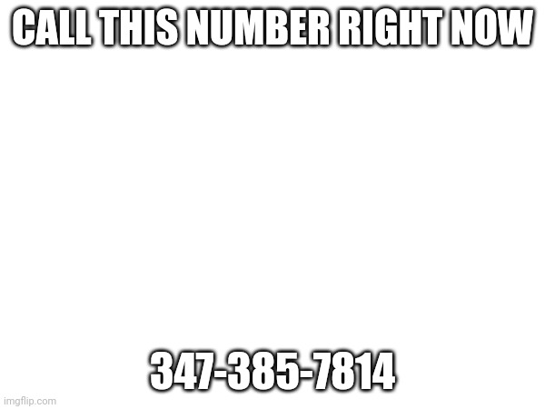 If he doesn't pick up text see you on Monday | CALL THIS NUMBER RIGHT NOW; 347-385-7814 | made w/ Imgflip meme maker