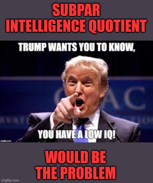 SUBPAR INTELLIGENCE QUOTIENT WOULD BE THE PROBLEM | made w/ Imgflip meme maker