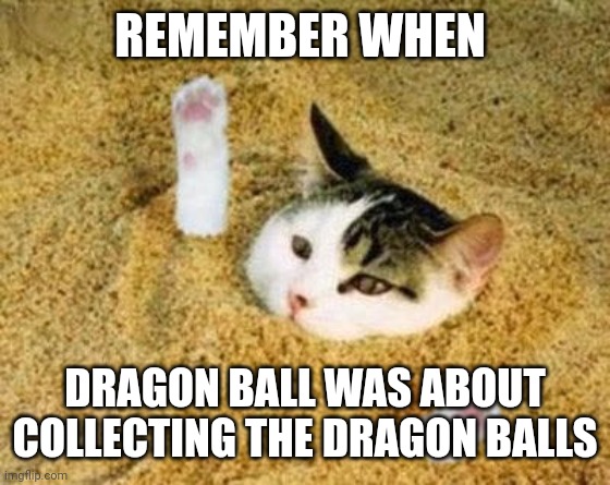 ドラゴンボール | REMEMBER WHEN; DRAGON BALL WAS ABOUT COLLECTING THE DRAGON BALLS | image tagged in yesh,dragon ball,dbz | made w/ Imgflip meme maker