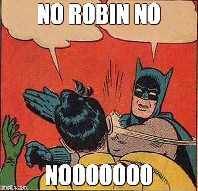 Batman Slapping Robin Meme | NO ROBIN NO NOOOOOOO | image tagged in memes,batman slapping robin | made w/ Imgflip meme maker