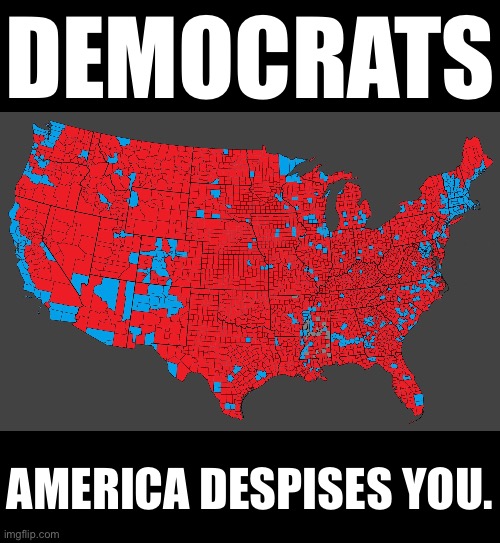 AMERICA DESPISES DEMOCRATS. | DEMOCRATS; AMERICA DESPISES YOU. | image tagged in president trump,donald trump,republican party,kamala harris,democrat party,presidential election | made w/ Imgflip meme maker