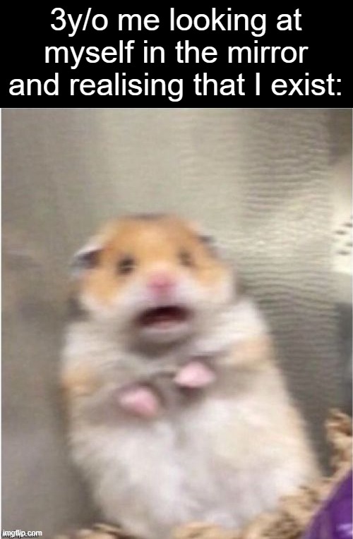 Scared Hamster | 3y/o me looking at myself in the mirror and realising that I exist: | image tagged in scared hamster | made w/ Imgflip meme maker