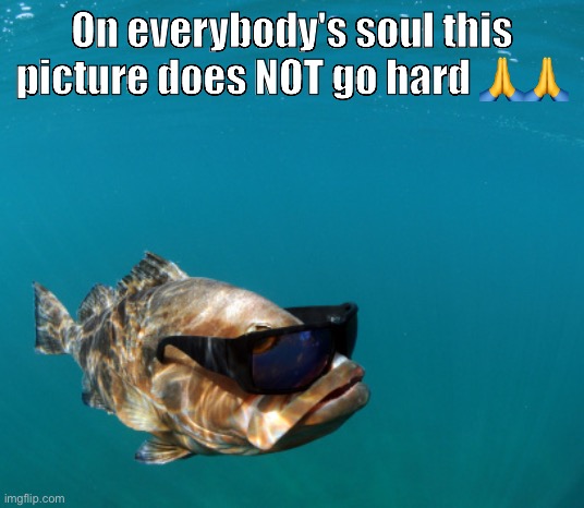 On everybody's soul this picture does NOT go hard 🙏🙏 | made w/ Imgflip meme maker