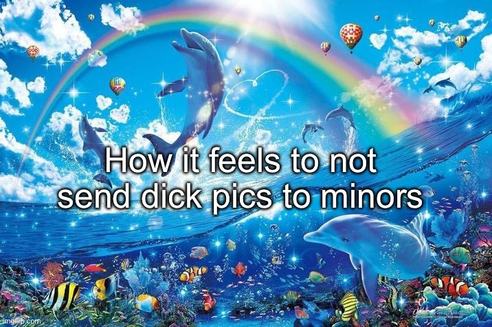 Happy dolphin rainbow | How it feels to not send dick pics to minors | image tagged in happy dolphin rainbow | made w/ Imgflip meme maker