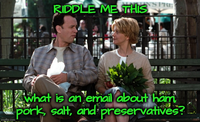 Riddle | RIDDLE ME THIS; what is an email about ham, pork, salt, and preservatives? | image tagged in riddle,bad joke | made w/ Imgflip meme maker