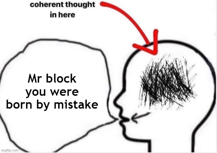 Mr block you were born by mistake | made w/ Imgflip meme maker