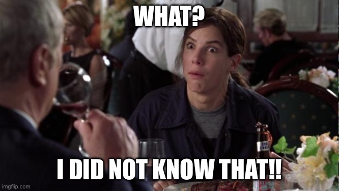 I had no idea  | WHAT? I DID NOT KNOW THAT!! | image tagged in i had no idea | made w/ Imgflip meme maker