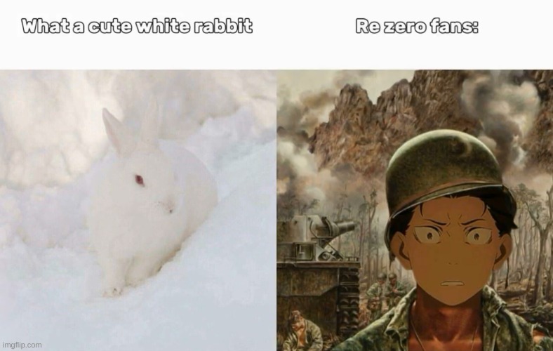 image tagged in re zero,subaru,rabbit | made w/ Imgflip meme maker