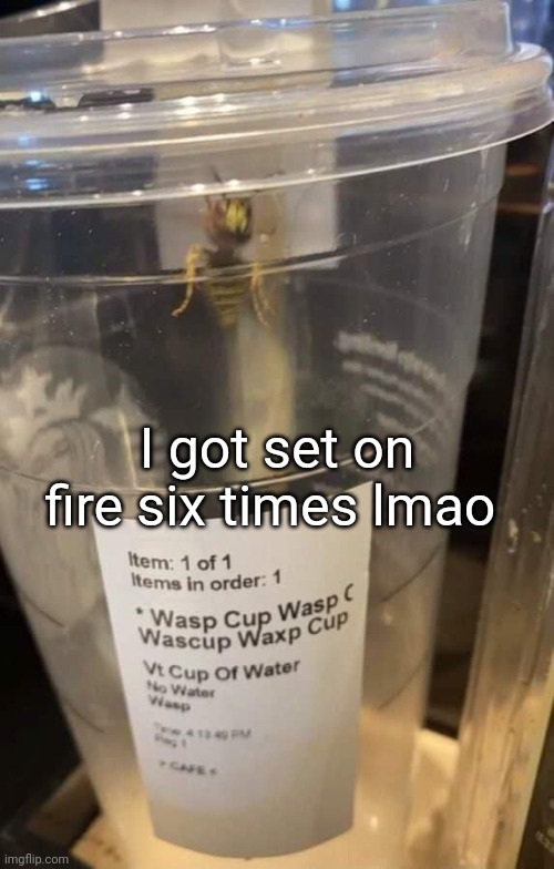 Wasp cup Wasp cup Wasp cup Wasp cup Wasp cup Wasp cup Wasp cup | I got set on fire six times lmao | image tagged in wasp cup wasp cup wasp cup wasp cup wasp cup wasp cup wasp cup | made w/ Imgflip meme maker