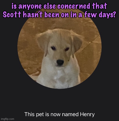 say hi to Henry | is anyone else concerned that Scott hasn’t been on in a few days? | image tagged in say hi to henry,cinnabox announcement | made w/ Imgflip meme maker