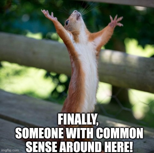 Common sense | FINALLY, SOMEONE WITH COMMON SENSE AROUND HERE! | image tagged in happy holidays,finally,common sense | made w/ Imgflip meme maker