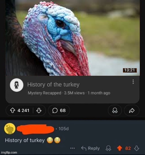 turkey ? | image tagged in history,of,the,turkey | made w/ Imgflip meme maker