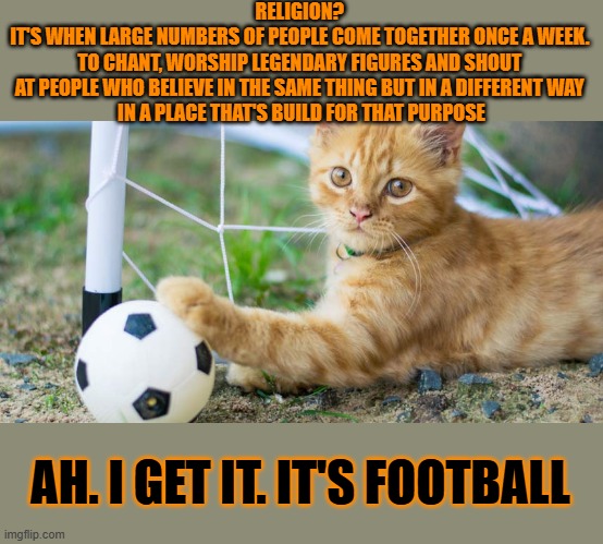 This #lolcat wonders what the difference is between football and religion | RELIGION? 
IT'S WHEN LARGE NUMBERS OF PEOPLE COME TOGETHER ONCE A WEEK. 
TO CHANT, WORSHIP LEGENDARY FIGURES AND SHOUT 
AT PEOPLE WHO BELIEVE IN THE SAME THING BUT IN A DIFFERENT WAY 
IN A PLACE THAT'S BUILD FOR THAT PURPOSE; AH. I GET IT. IT'S FOOTBALL | image tagged in lolcat,football,religion | made w/ Imgflip meme maker