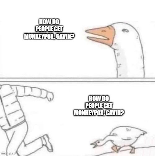9ambrn.jpg