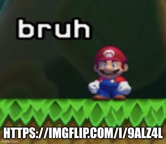 Mario Bruh | HTTPS://IMGFLIP.COM/I/9ALZ4L | image tagged in mario bruh | made w/ Imgflip meme maker