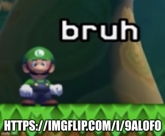 Luigi bruh | HTTPS://IMGFLIP.COM/I/9AL0FO | image tagged in luigi bruh | made w/ Imgflip meme maker