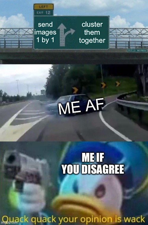 Random | send images 1 by 1; cluster them together; ME AF; ME IF YOU DISAGREE | image tagged in memes,left exit 12 off ramp,quack quack your opinion is wack | made w/ Imgflip meme maker