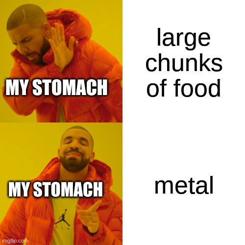 Drake Hotline Bling Meme | large chunks of food; MY STOMACH; metal; MY STOMACH | image tagged in memes,drake hotline bling | made w/ Imgflip meme maker