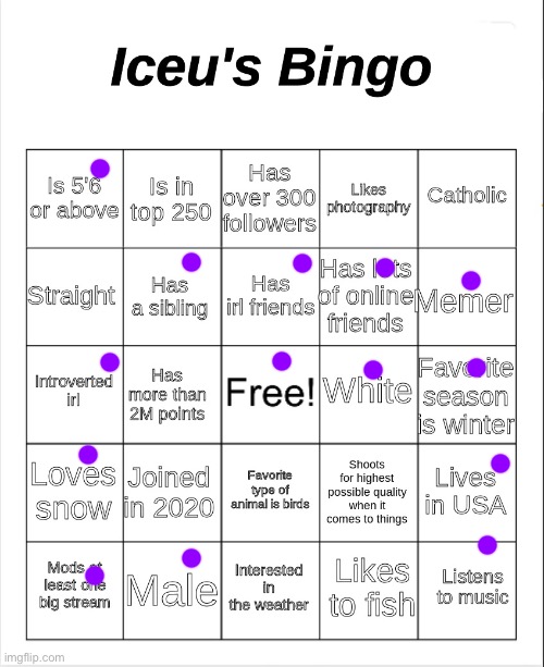 Iceu's Bingo | image tagged in iceu's bingo | made w/ Imgflip meme maker