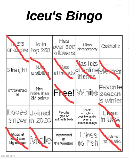 Iceu's Bingo | image tagged in iceu's bingo | made w/ Imgflip meme maker