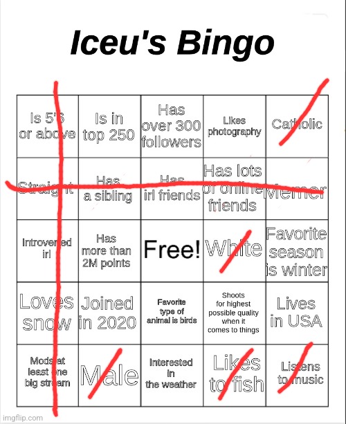 Iceu's Bingo | image tagged in iceu's bingo | made w/ Imgflip meme maker