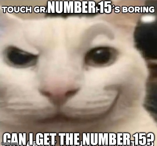 Touch grass? nah that's boring how about I touch you instead | NUMBER 15; CAN I GET THE NUMBER 15? | image tagged in touch grass nah that's boring how about i touch you instead | made w/ Imgflip meme maker