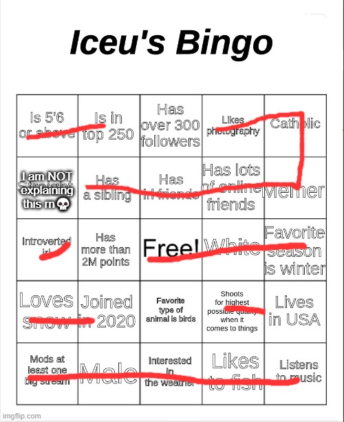 Iceu's Bingo | I am NOT explaining this rn💀 | image tagged in iceu's bingo | made w/ Imgflip meme maker