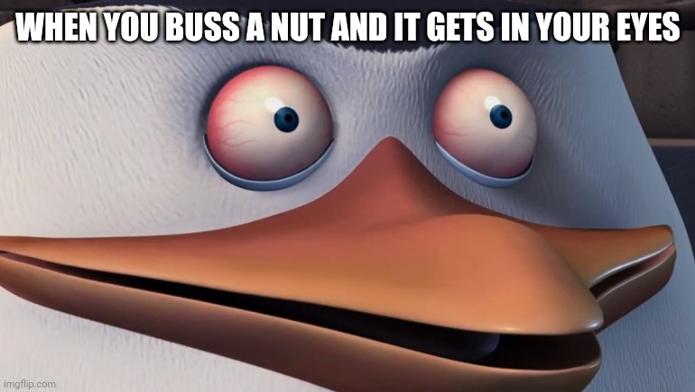 Penguins of madagascar skipper red eyes | WHEN YOU BUSS A NUT AND IT GETS IN YOUR EYES | image tagged in penguins of madagascar skipper red eyes | made w/ Imgflip meme maker